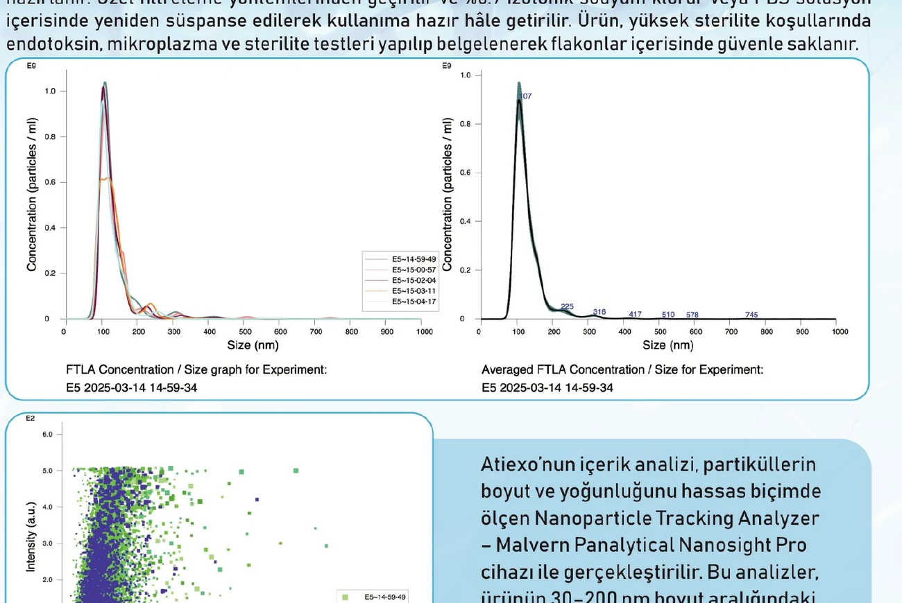 Partikül boyutu ve konsantrasyon analiz grafikleri